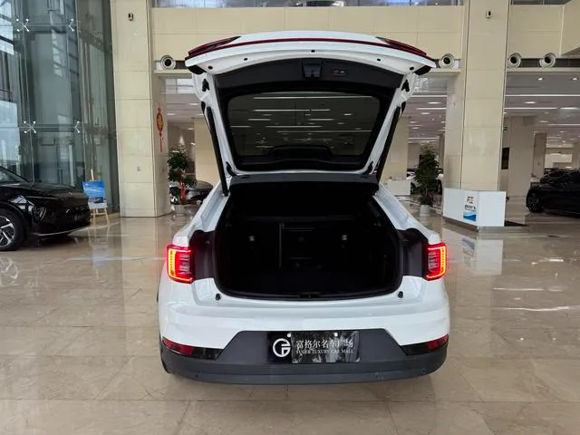 Used 2020 Polestar 2 SAU000064