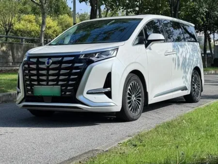 Used 2022 Denza D9 SAU000054