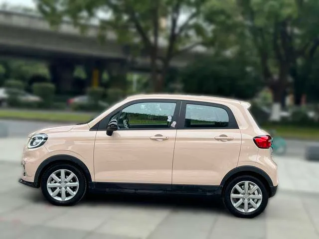 Used 2022 Leapmotor T03 SAU000046