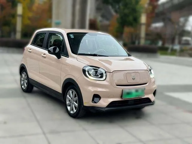 Used 2022 Leapmotor T03 SAU000046