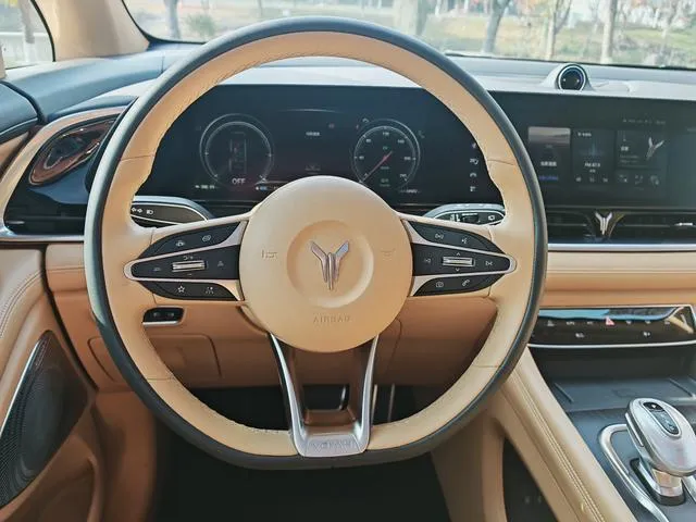 Used 2022 Voyah Dream SAU000062 (13) Used 2022 Voyah Dream SAU000062