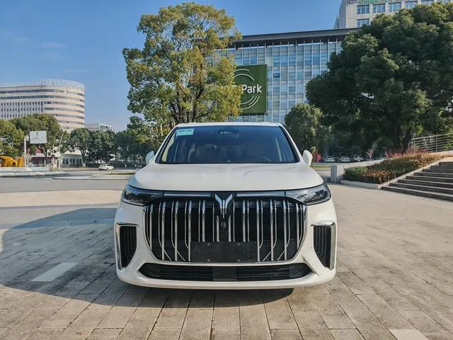 Used 2022 Voyah Dream SAU000062 (16)