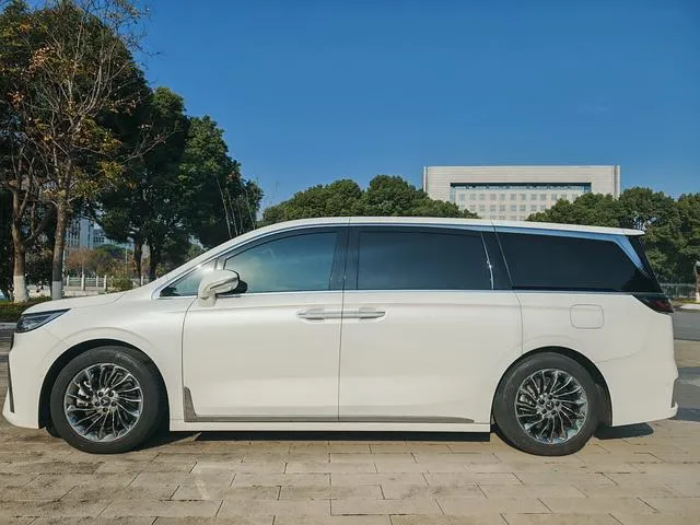 Used 2022 Voyah Dream SAU000062 (4) Used 2022 Voyah Dream SAU000062