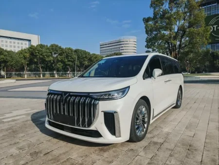 Used 2022 Voyah Dream SAU000062