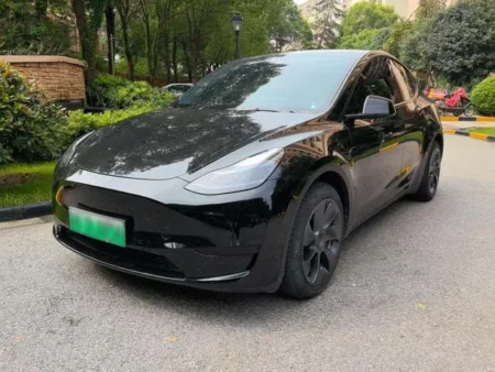 Used Tesla Model Y 2022 SAU000010