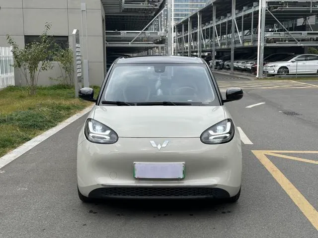 Used WuLing BinGuo 2023 SAU000021