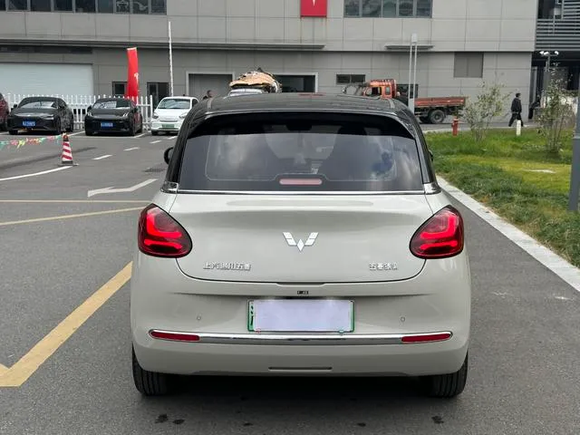 Used WuLing BinGuo 2023 SAU000021