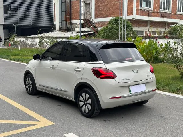 Used WuLing BinGuo 2023 SAU000021