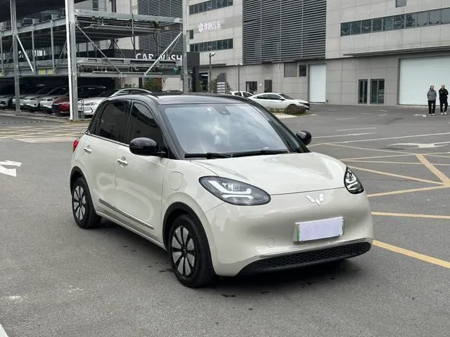 Used WuLing BinGuo 2023 SAU000021