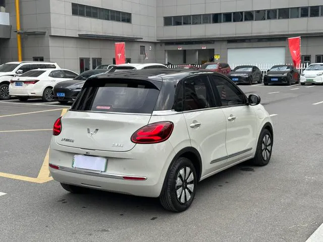 Used WuLing BinGuo 2023 SAU000021