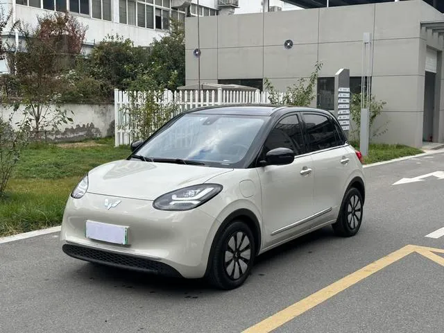 Used WuLing BinGuo 2023 SAU000021