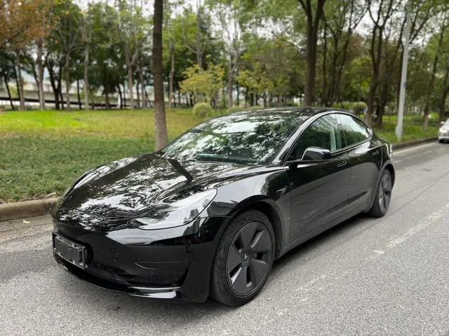 Used 2021 Tesla Model 3 SAU000112