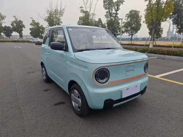 Used 2024 Geely Panda SAU000116