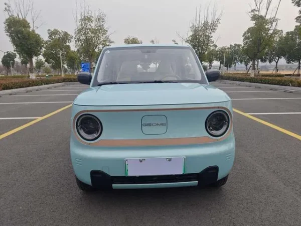 Used 2024 Geely Panda SAU000116