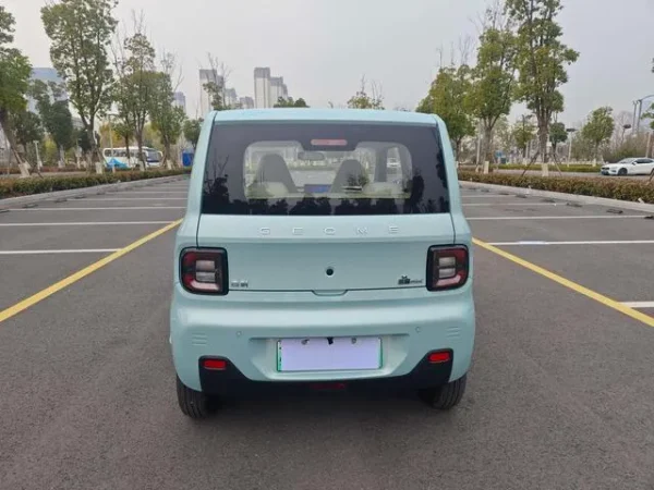 Used 2024 Geely Panda SAU000116